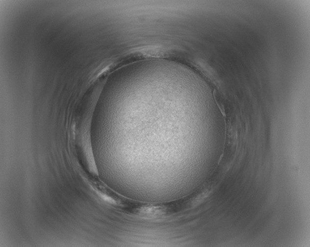 X0000079340117200612011944