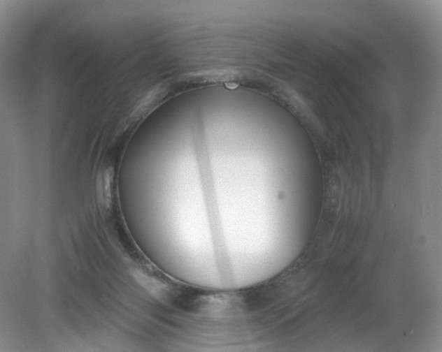 X0000079340118200612011944