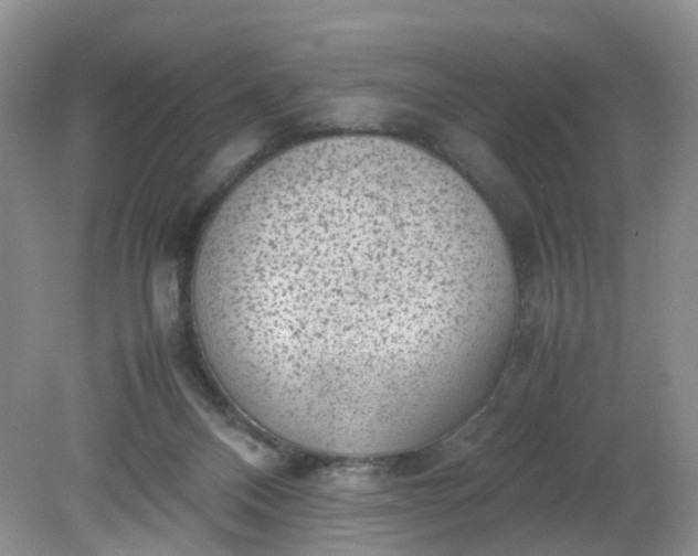 X0000079340120200612011944