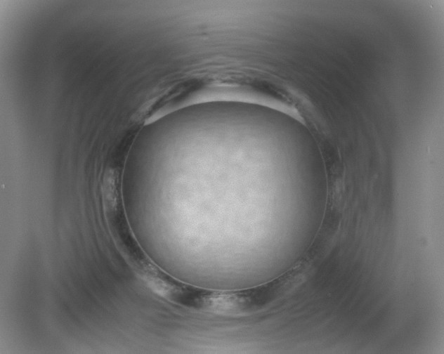 X0000079340121200612011944