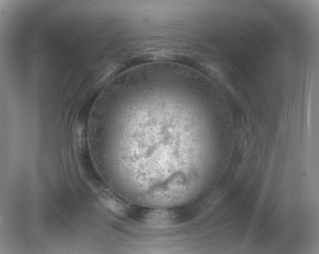 X0000079340123200612011944