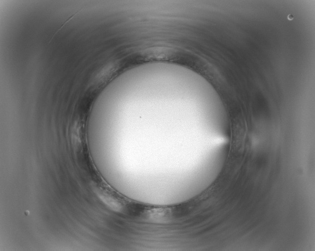 X0000079340126200612011944