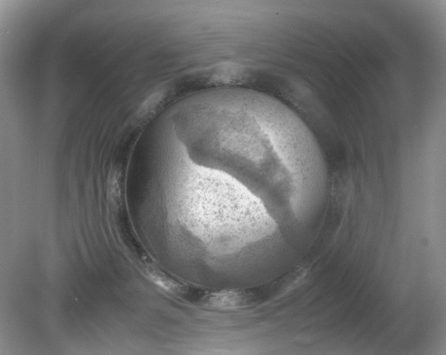 X0000079340127200612011944