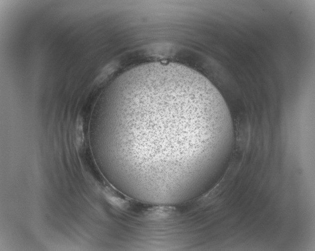 X0000079340128200612011944