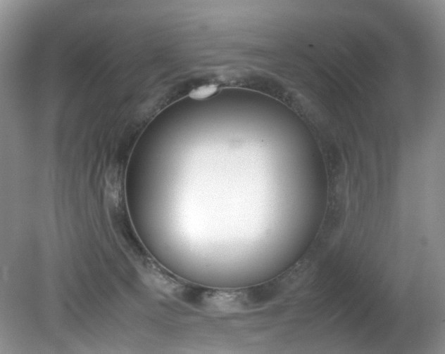 X0000079340129200612011944