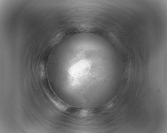 X0000079340130200612011944