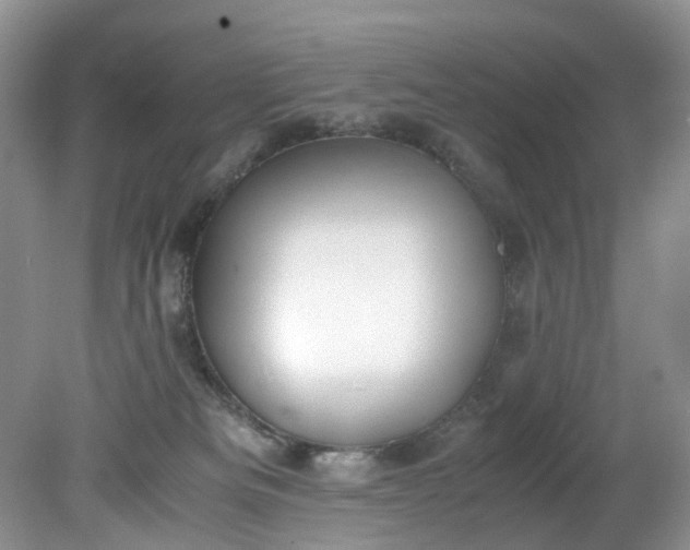 X0000079340133200612011943