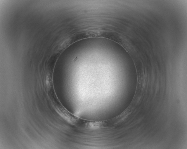 X0000079340134200612011943