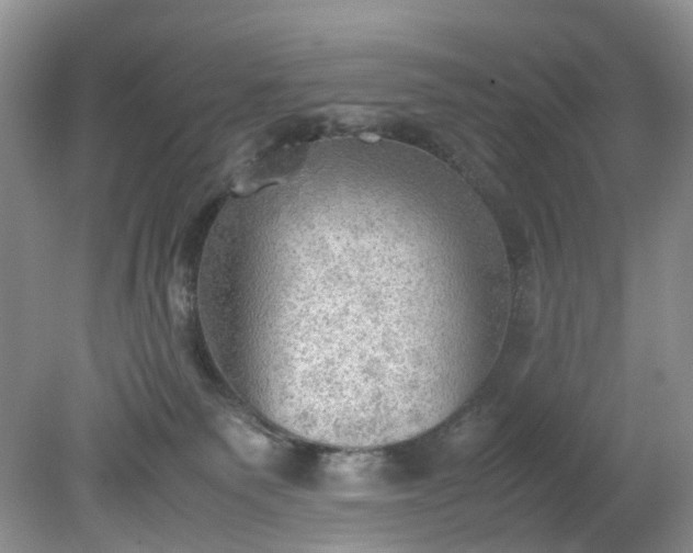 X0000079340135200612011943