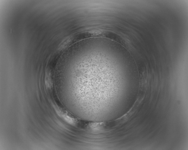 X0000079340136200612011943