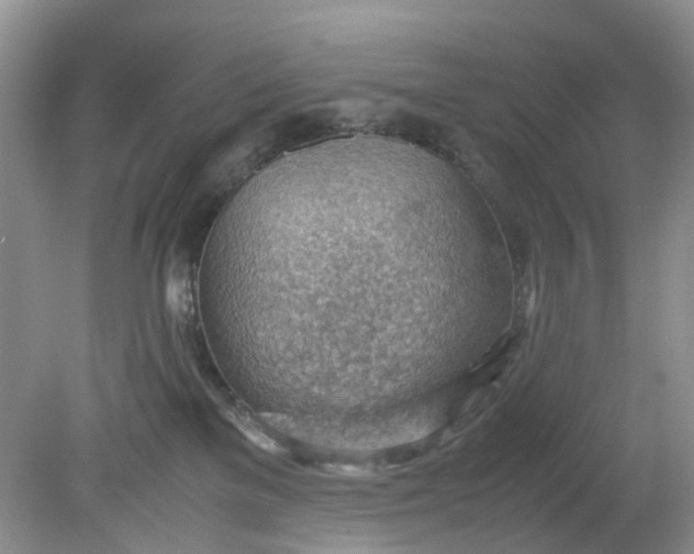 X0000079340137200612011943