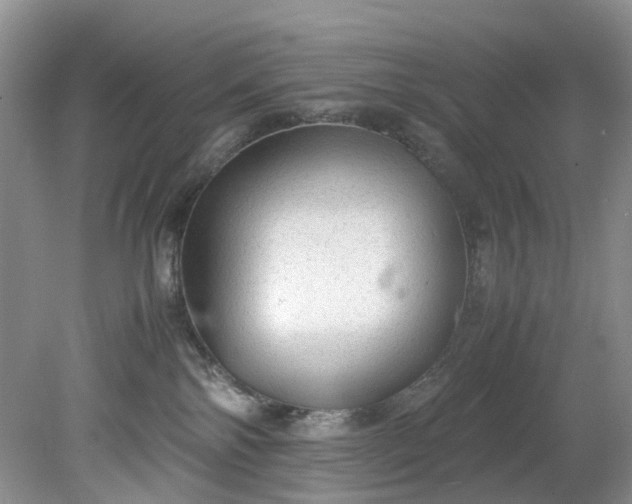 X0000079340138200612011943