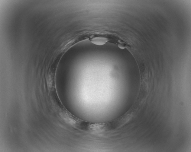 X0000079340139200612011943