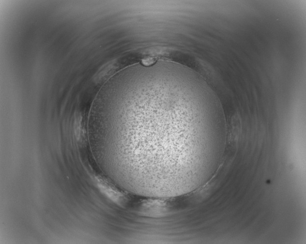 X0000079340140200612011943