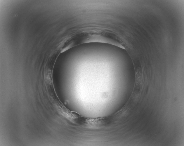 X0000079340141200612011943