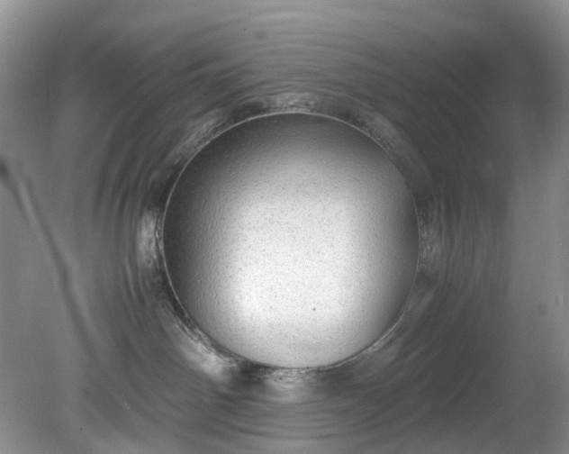 X0000079340142200612011943