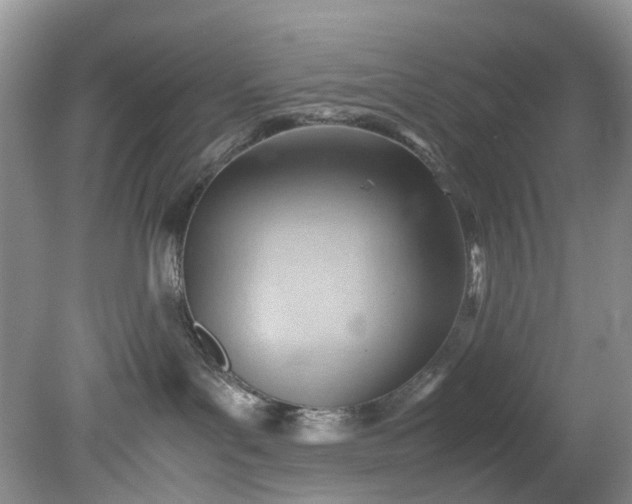 X0000079340143200612011943