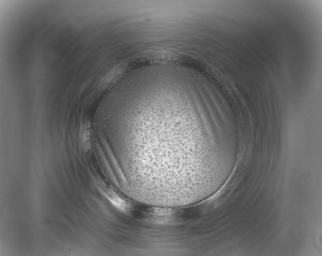 X0000079340144200612011943