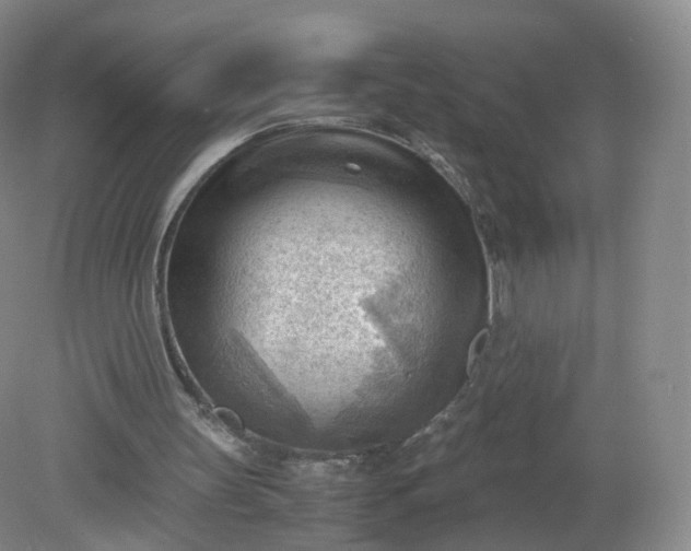 X0000079340147200612011943