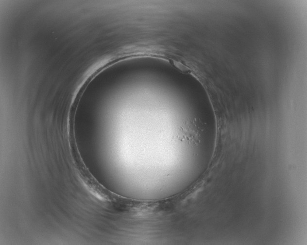 X0000079340148200612011943