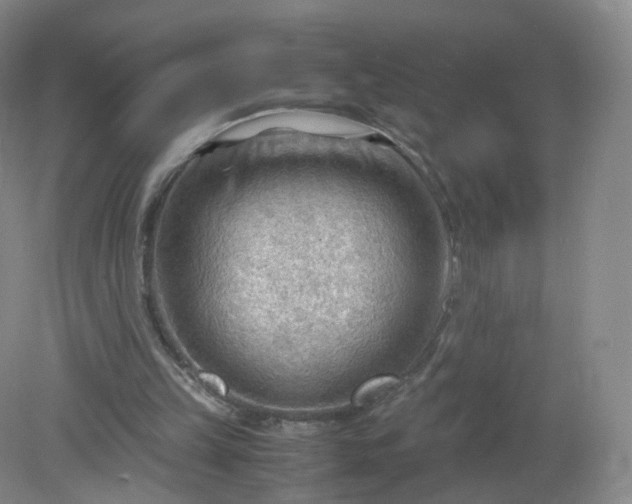 X0000079340149200612011943