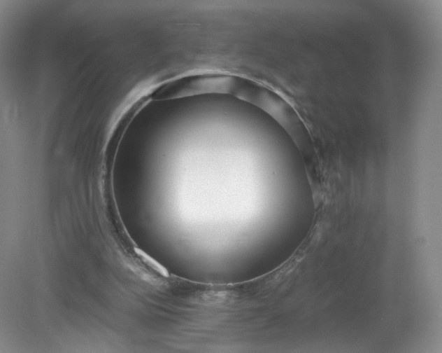 X0000079340152200612011943