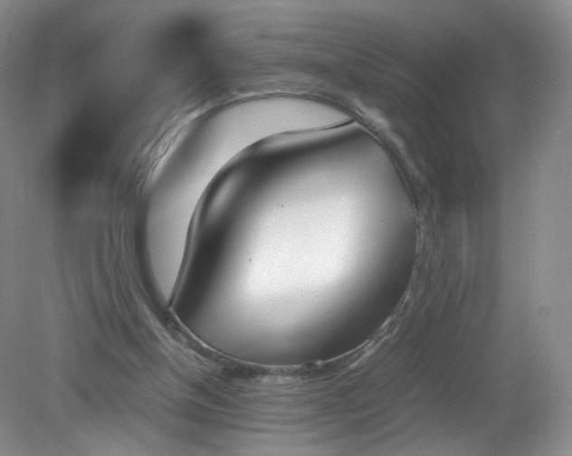 X0000079340154200612011943