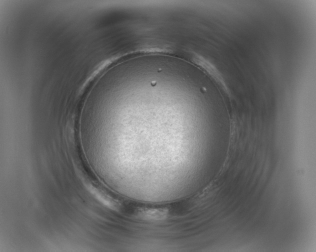 X0000079340155200612011943