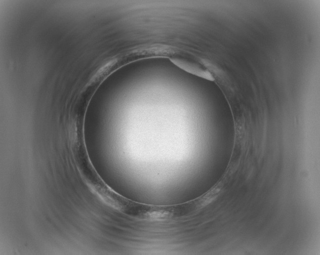 X0000079340158200612011943