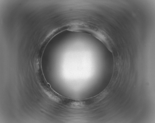 X0000079340160200612011943