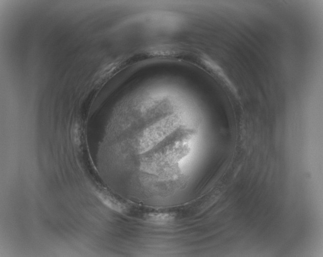 X0000079340161200612011943