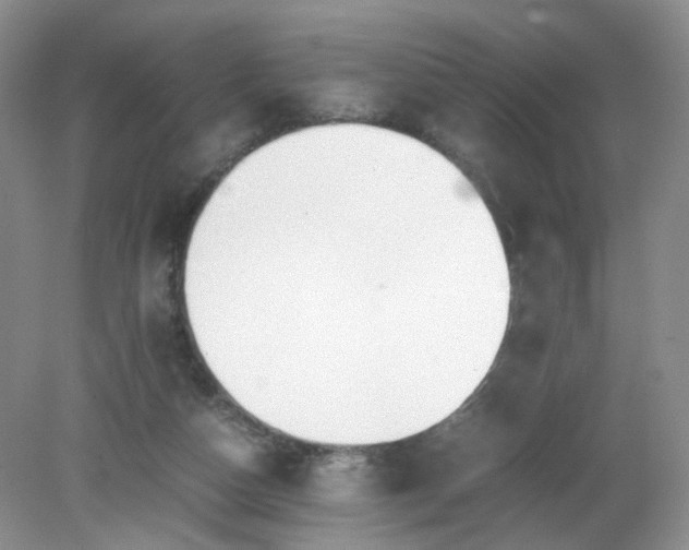 X0000079340162200612011943