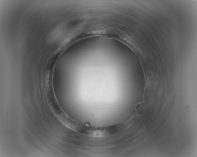 X0000079340163200612011943