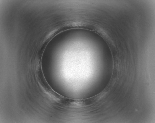 X0000079340164200612011943