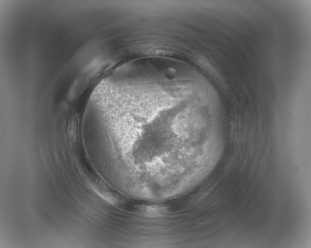 X0000079340165200612011943