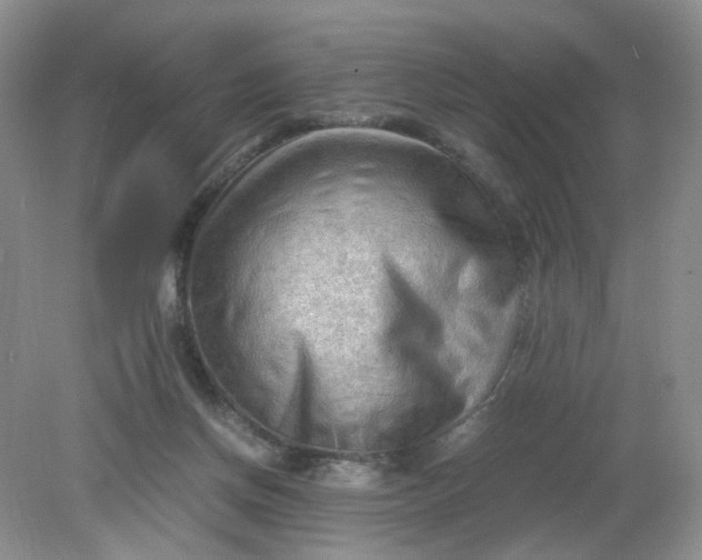 X0000079340166200612011943