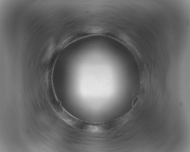 X0000079340167200612011943