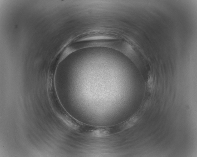 X0000079340168200612011943