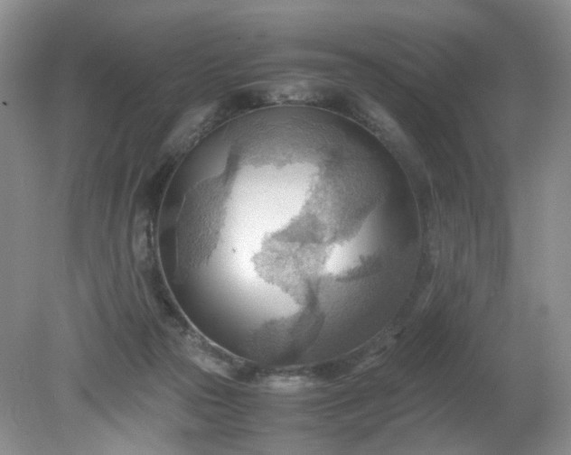 X0000079340169200612011943