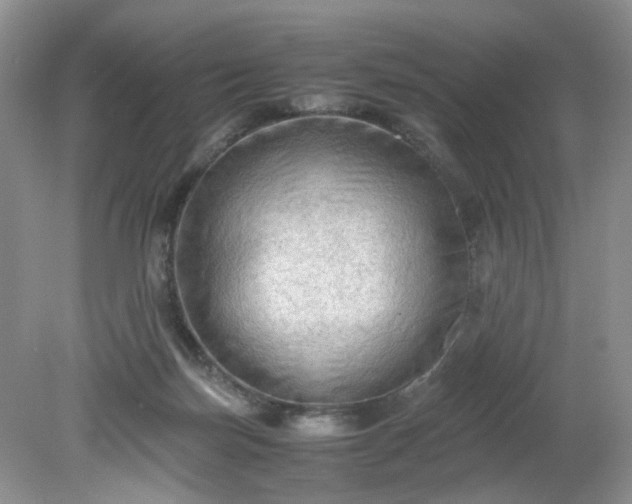 X0000079340171200612011943