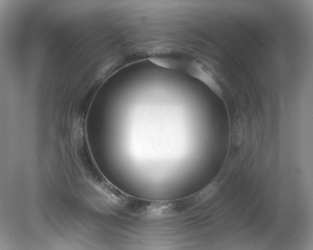 X0000079340172200612011943