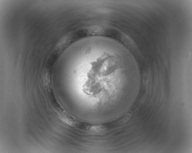 X0000079340173200612011943