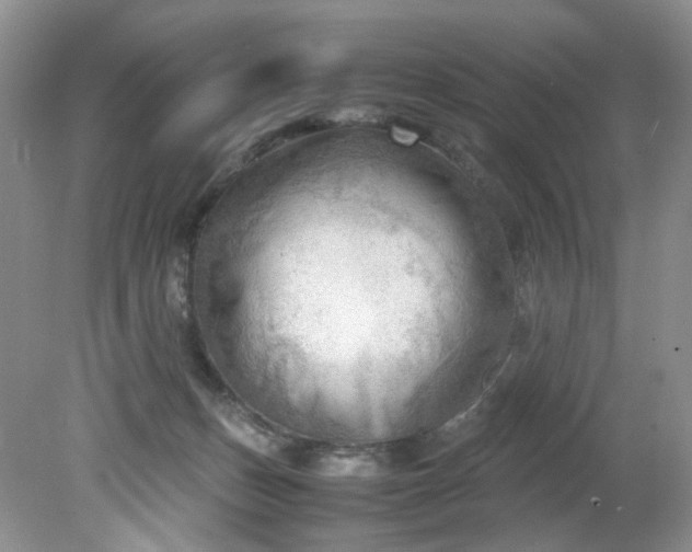 X0000079340175200612011943