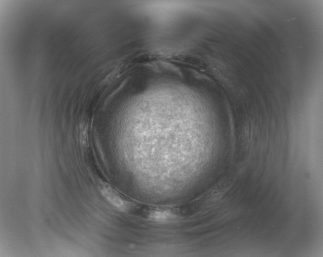 X0000079340177200612011943