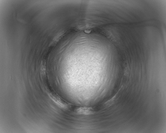 X0000079340179200612011943