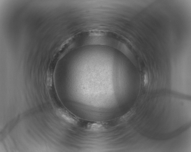 X0000079340180200612011943