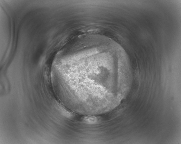 X0000079340181200612011943