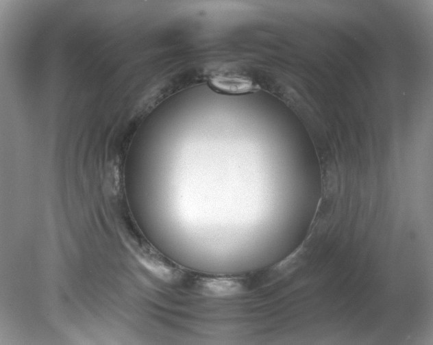 X0000079340183200612011943