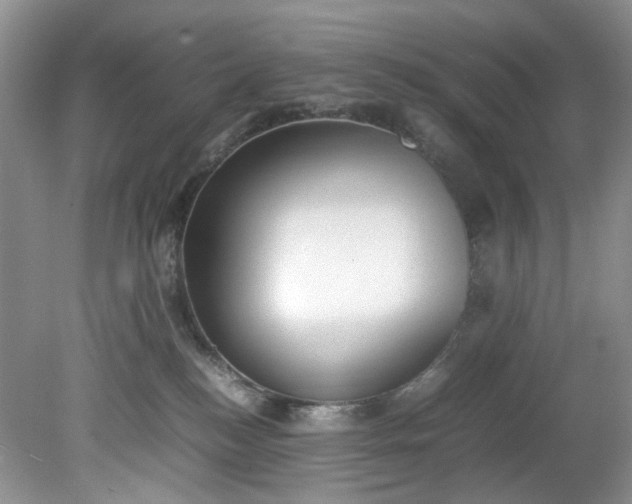 X0000079340184200612011943