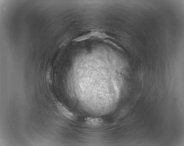 X0000079340185200612011943